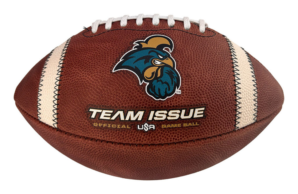Brown leather football with white laces and cream stripes, displaying a blue rooster logo and the words 'TEAM ISSUE' in bold white letters.