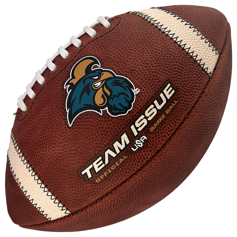 American football displaying a Team Issue logo and 'Official USA Game Ball' text with white laces and tan stripes on a brown pebble surface